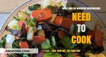 Perfectly Cooked Wood Ear Mushrooms: Timing Tips for Ideal Texture