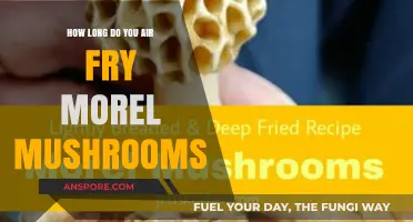 Perfectly Crispy Air-Fried Morel Mushrooms: Timing Tips for Best Results