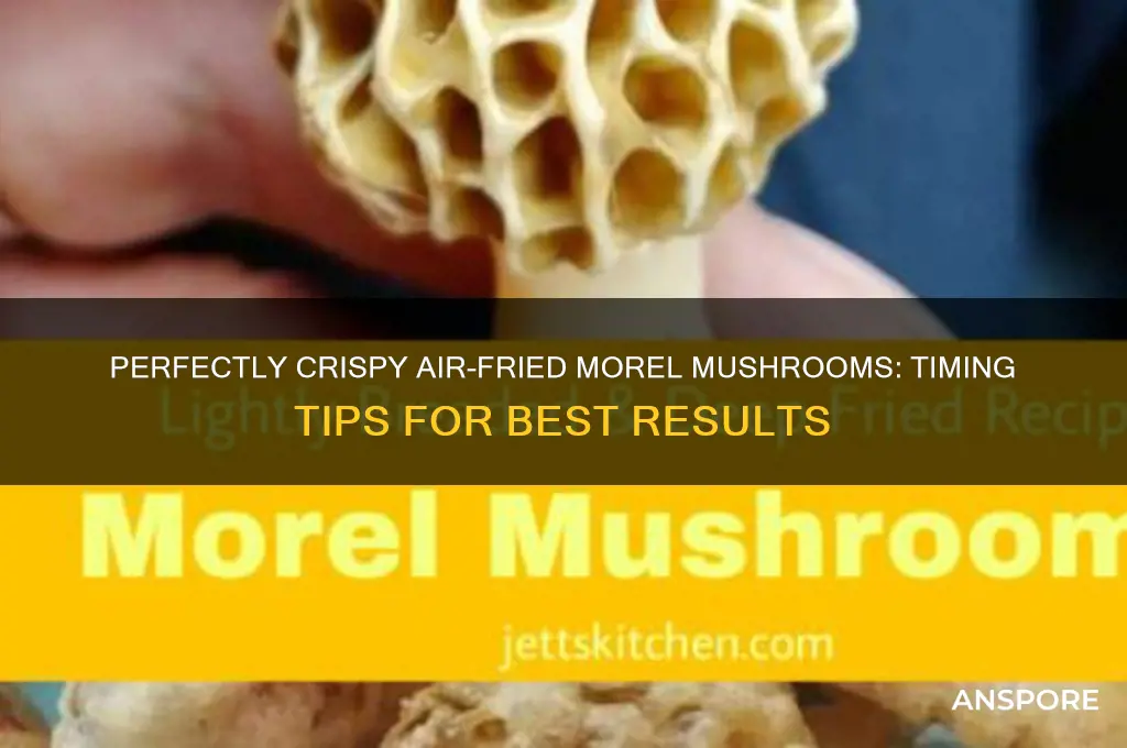 how long do you air fry morel mushrooms
