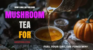 Perfect Mushroom Tea: Optimal Boiling Time for Rich Flavor and Benefits