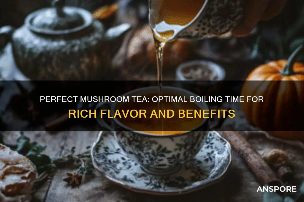 how long do you boil mushroom tea for