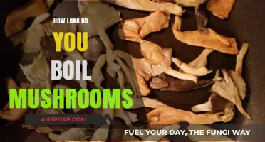 Perfectly Boiled Mushrooms: Timing Tips for Ideal Texture and Flavor
