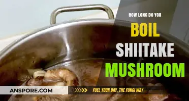Perfectly Boiled Shiitake Mushrooms: Timing Tips for Optimal Flavor