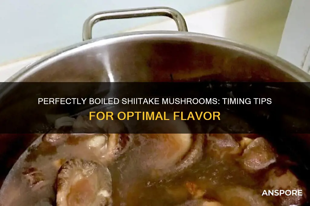 how long do you boil shiitake mushrooms