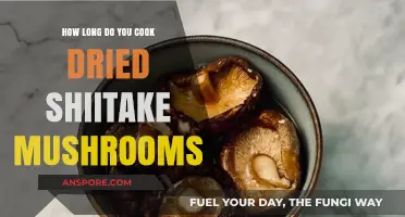 Perfectly Cooked Dried Shiitake Mushrooms: Timing and Techniques Revealed