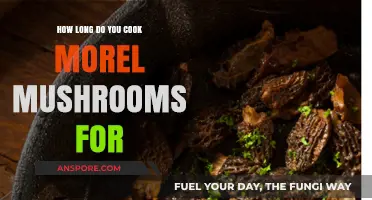 Perfectly Cooked Morel Mushrooms: Timing Tips for Delicious Results