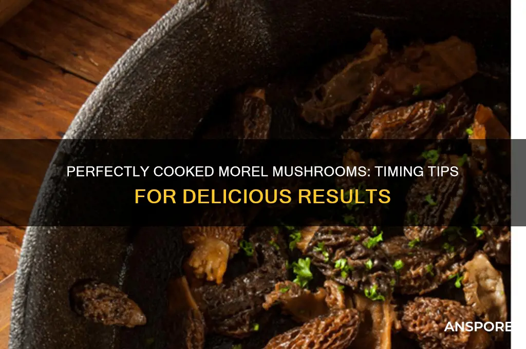 how long do you cook morel mushrooms for