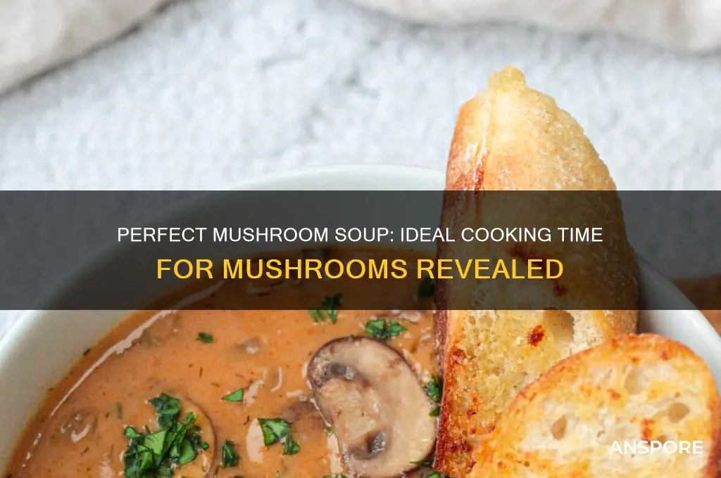 how long do you cook mushrooms for a mushroom soup