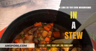 Perfect Mushroom Stew: Ideal Cooking Time for Tender Mushrooms