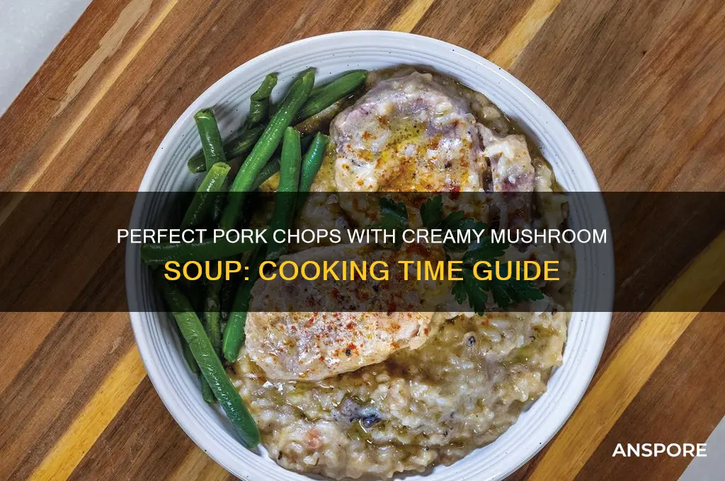 how long do you cook pork chops and mushroom soup
