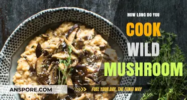 Mastering Wild Mushroom Cooking: Perfect Timing for Delicious Results