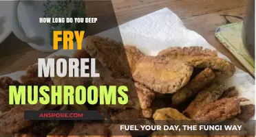 Perfectly Crispy Morel Mushrooms: Deep Frying Time and Tips