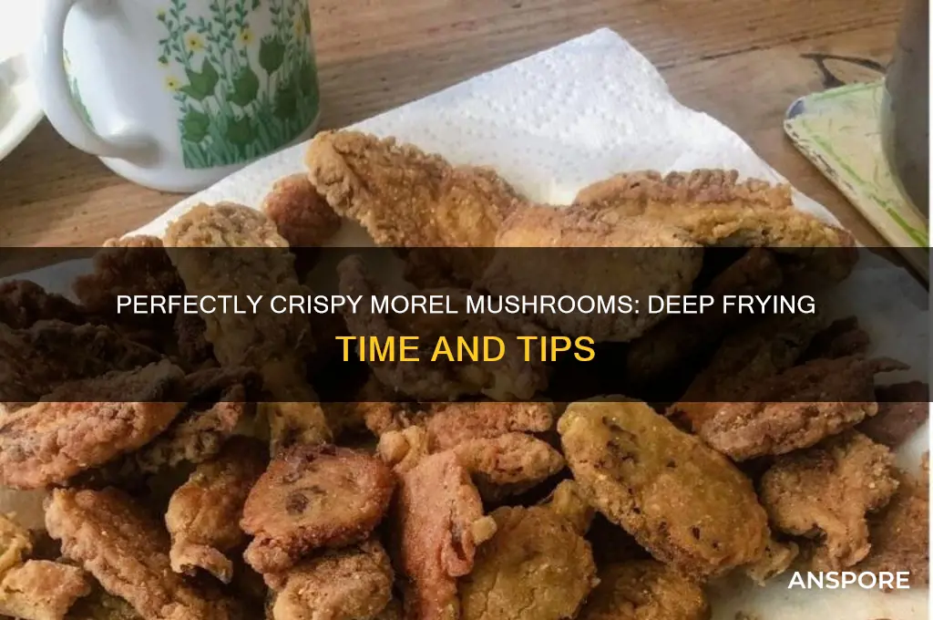 how long do you deep fry morel mushrooms