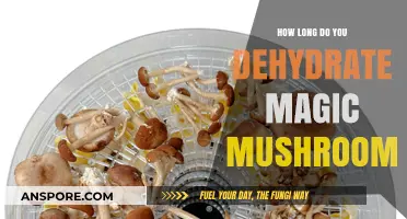 Dehydrating Magic Mushrooms: Optimal Time for Preservation and Potency