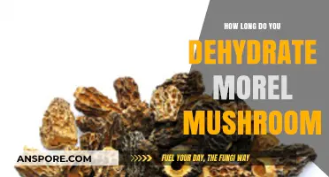 Dehydrating Morel Mushrooms: Optimal Time for Perfect Preservation