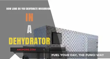 Dehydrating Mushrooms: Optimal Time in a Dehydrator for Perfect Results