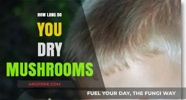 Perfectly Dried Mushrooms: Timing Tips for Optimal Flavor and Preservation