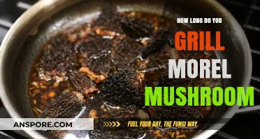 Perfectly Grilled Morel Mushrooms: Timing Tips for Smoky, Tender Results