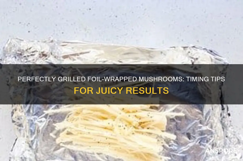 how long do you grill mushrooms wrapped in foil