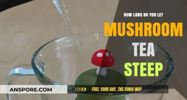 Perfect Mushroom Tea: Optimal Steeping Time for Rich Flavor