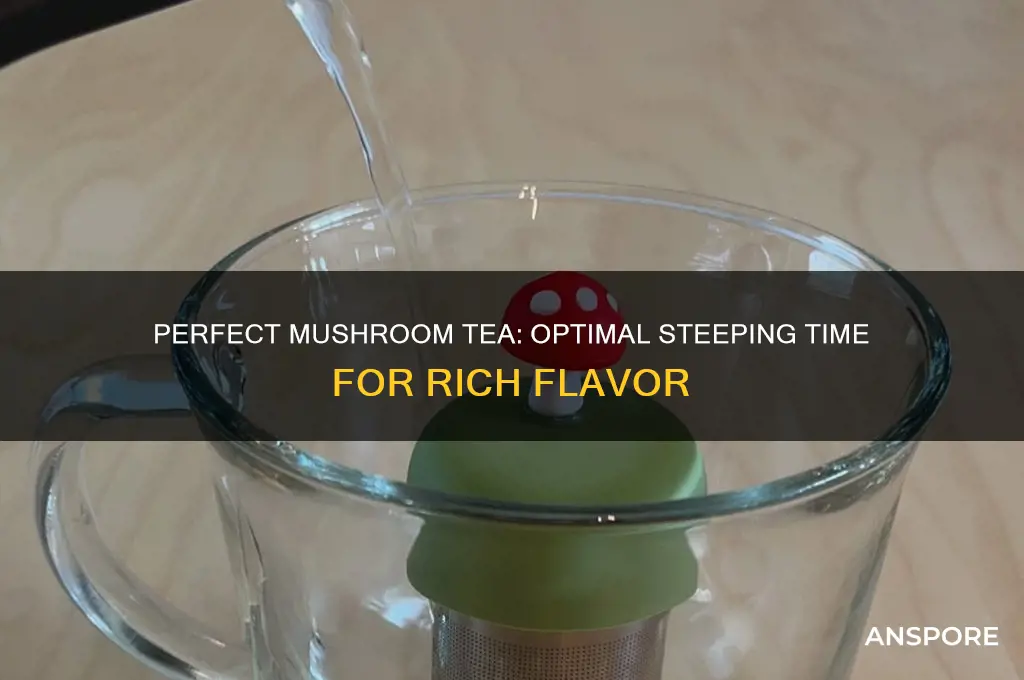 how long do you let mushroom tea steep