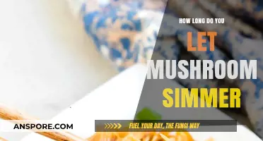 Perfect Mushroom Simmering: Timing Tips for Rich, Flavorful Results