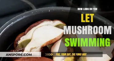 Perfect Mushroom Soaking Time: Tips for Optimal Flavor and Texture