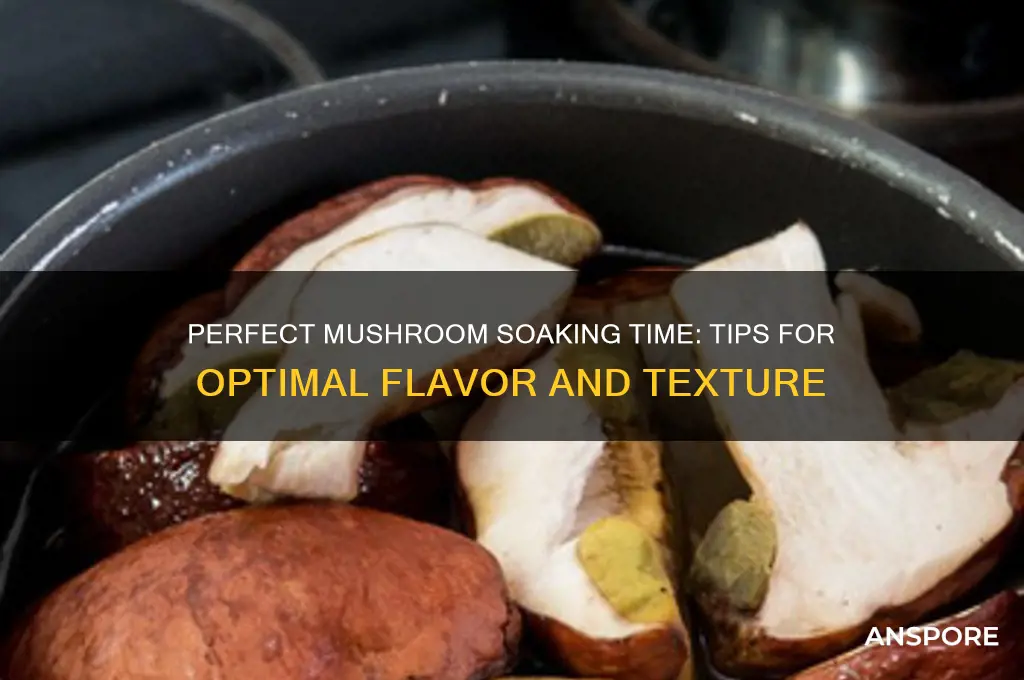 how long do you let mushrooms swimming