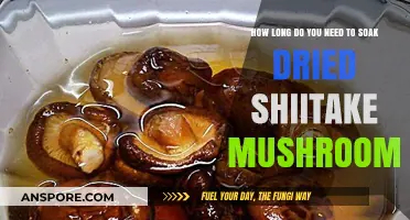 Perfect Shiitake Soak Time: Mastering Dried Mushroom Rehydration