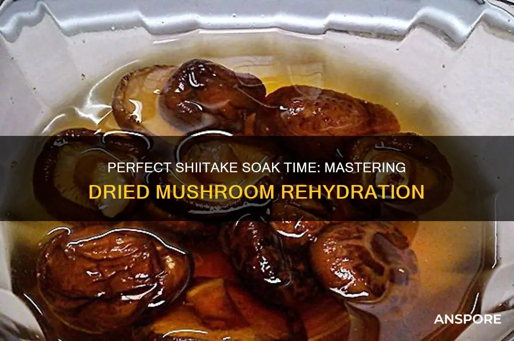 how long do you need to soak dried shiitake mushrooms