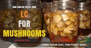 Optimizing LC Pressure Cooking Time for Perfect Mushroom Cultivation