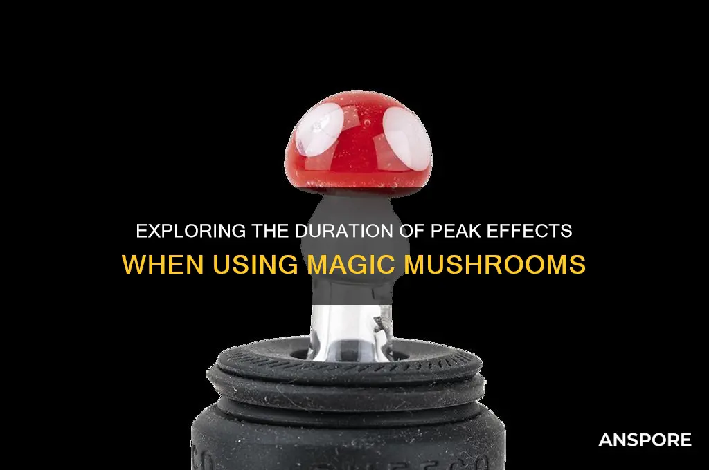 how long do you peak on mushrooms