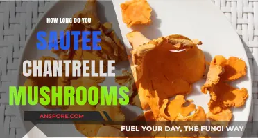 Perfectly Sautéed Chanterelle Mushrooms: Timing Tips for Optimal Flavor