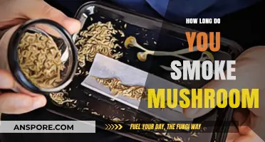 Smoking Mushrooms: Understanding Duration, Effects, and Safety Tips