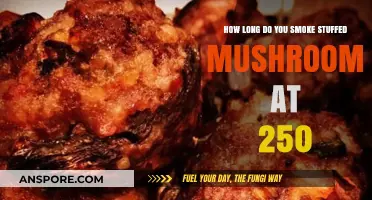 Perfectly Smoked Stuffed Mushrooms: Timing Tips at 250 Degrees