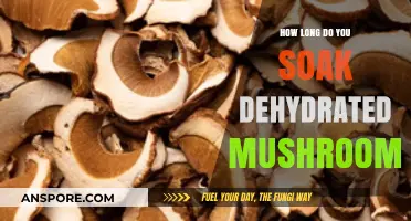 Perfect Rehydration: How Long to Soak Dehydrated Mushrooms for Best Results