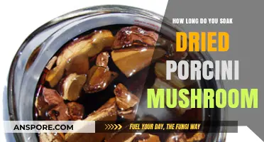 Perfect Porcini Prep: Optimal Soaking Time for Dried Mushrooms