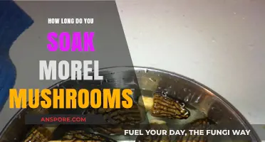 Perfect Morel Mushroom Soaking Time: Tips for Optimal Flavor and Texture