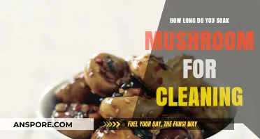 Perfect Mushroom Cleaning: Optimal Soaking Time for Freshness and Flavor