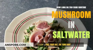 Perfect Shiitake Soak: Saltwater Timing for Optimal Flavor and Texture