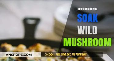Perfect Soaking Time for Wild Mushrooms: A Comprehensive Guide