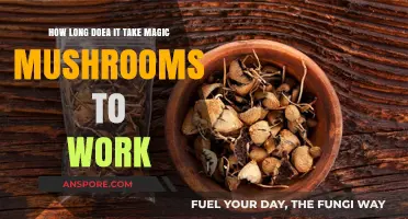 Magic Mushrooms: Understanding the Onset Time for Psychedelic Effects