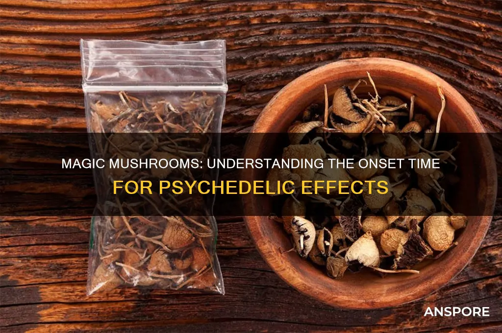 how long doea it take magic mushrooms to work