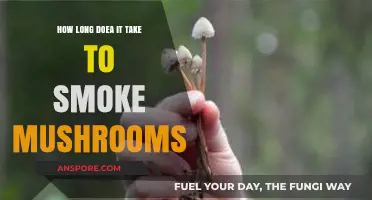 Smoking Mushrooms: Understanding the Time and Process Involved