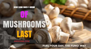 How Long Does 1 Gram of Mushrooms Last: A Quick Guide