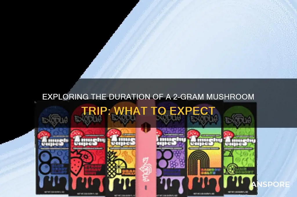 how long does 2 gram mushroom trip last