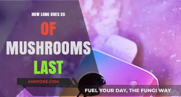 How Long Does 2g of Mushrooms Last: A Comprehensive Guide