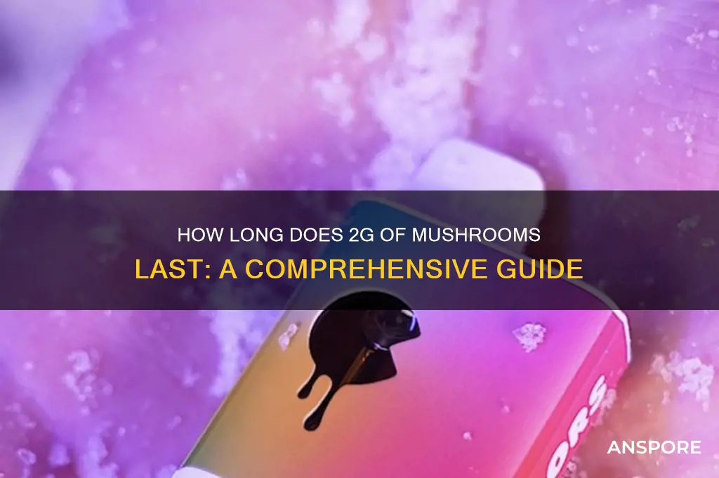 how long does 2g of mushrooms last