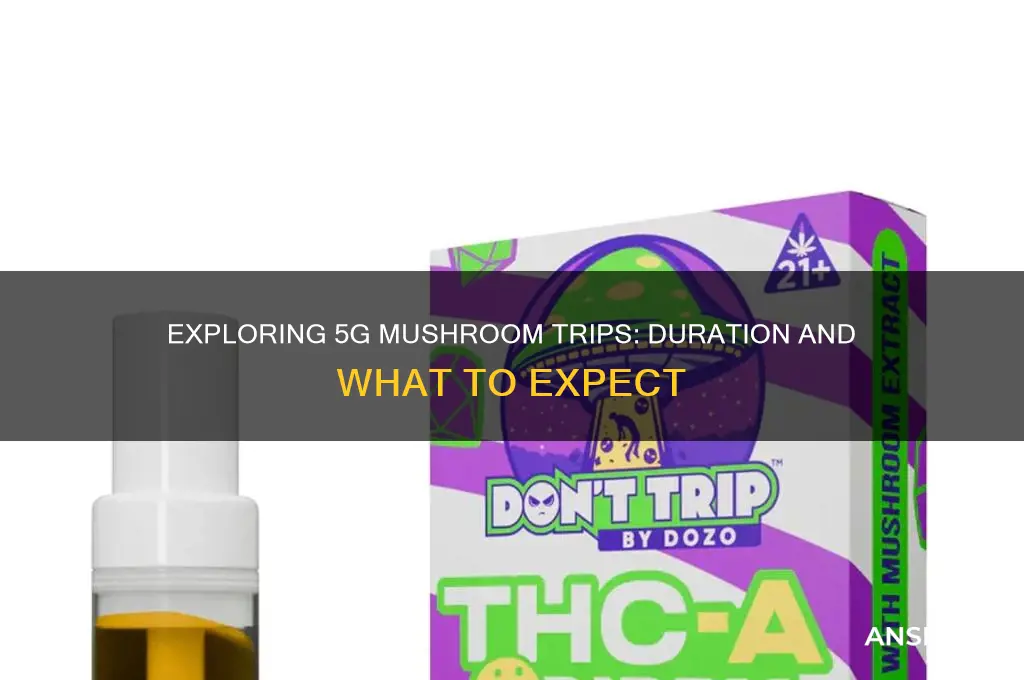 how long does a 5g mushroom trip last