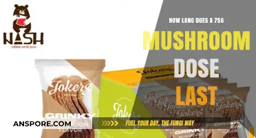 Exploring the Duration of a 75g Mushroom Dose: What to Expect